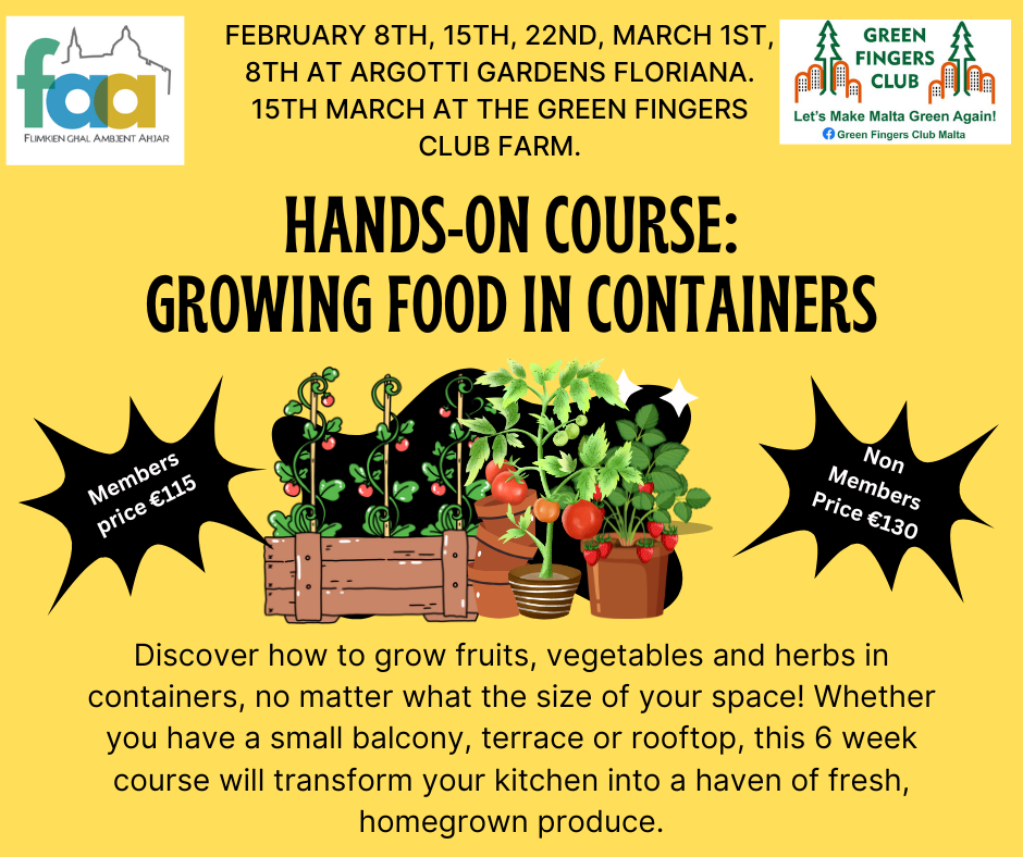 Hands-on course: Growing food in Containers